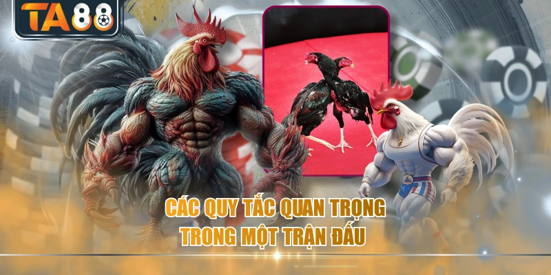 Các quy tắc quan trọng trong một trận đấu